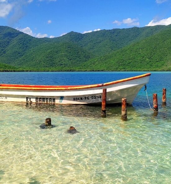 La Ciénaga